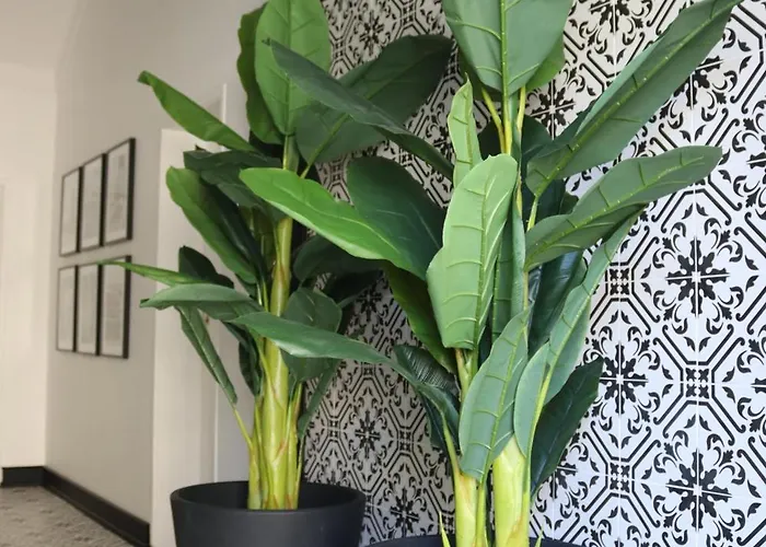 Διαμέρισμα Casa 